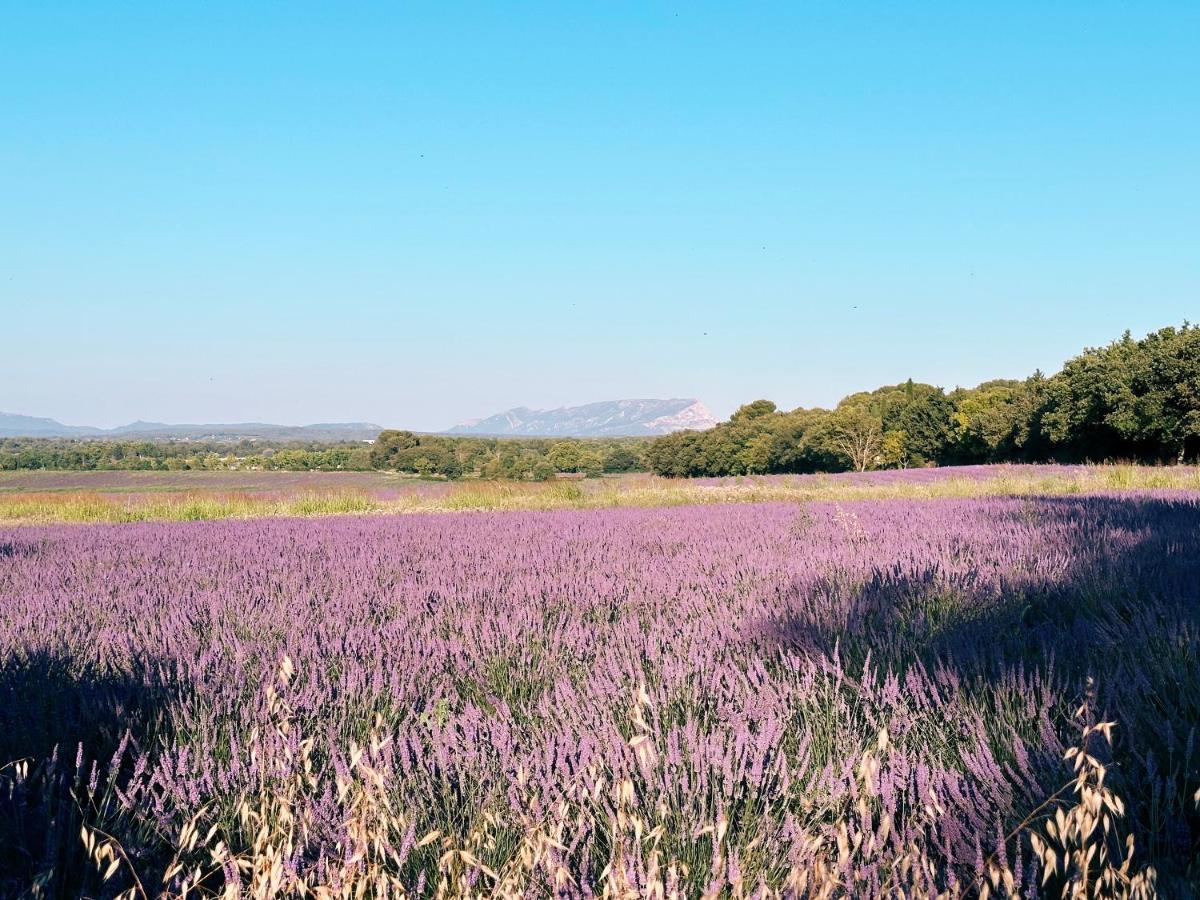 Maison Francoise Bed and Breakfast Αιξ-αν-Προβάνς Εξωτερικό φωτογραφία