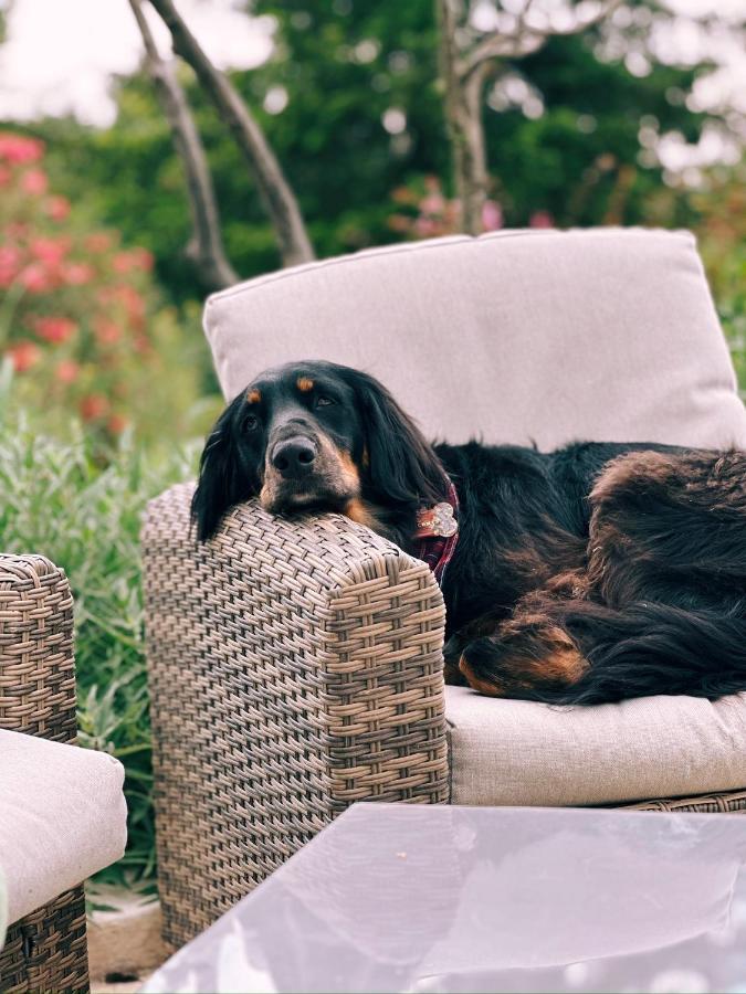 Maison Francoise Bed and Breakfast Αιξ-αν-Προβάνς Εξωτερικό φωτογραφία